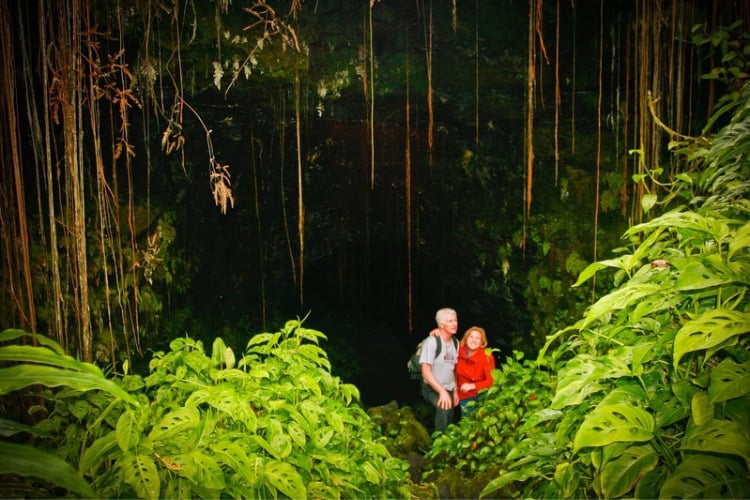 Kaumana Cave in Hilo, Hawaii, featuring a stairway descending through dense vegetation toward dark openings. Photo by Brent Cassie