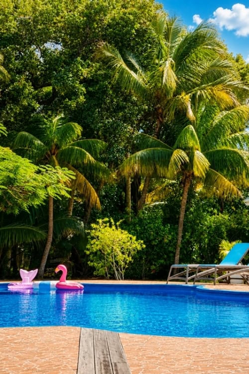 L'Habitation Cerf Island in the Seychelles. Image by Janine Avery