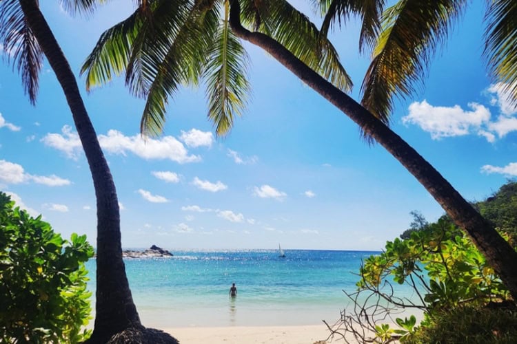 The main beach at Constance Lemuria in the Seychelles. Photo by Janine Avery