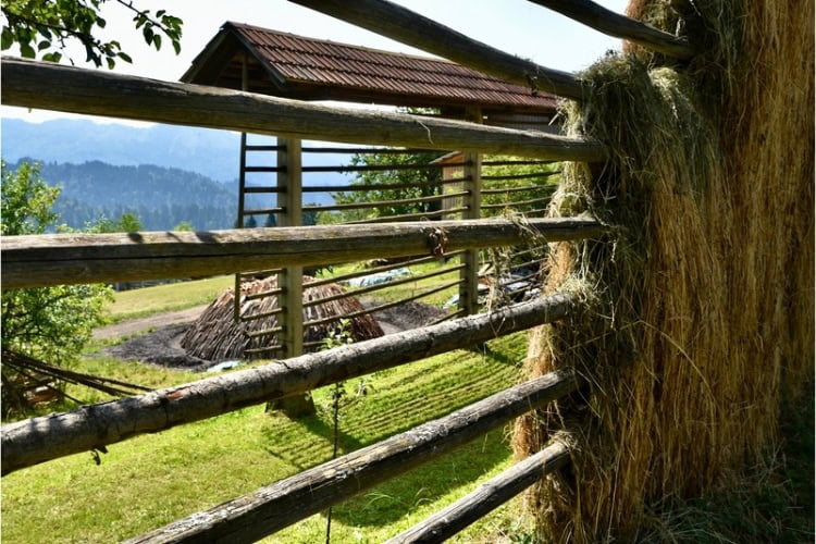 Marko Klemenčič's kiln in Selca hidden behind hayracks. Photo by Holger Hoffmann