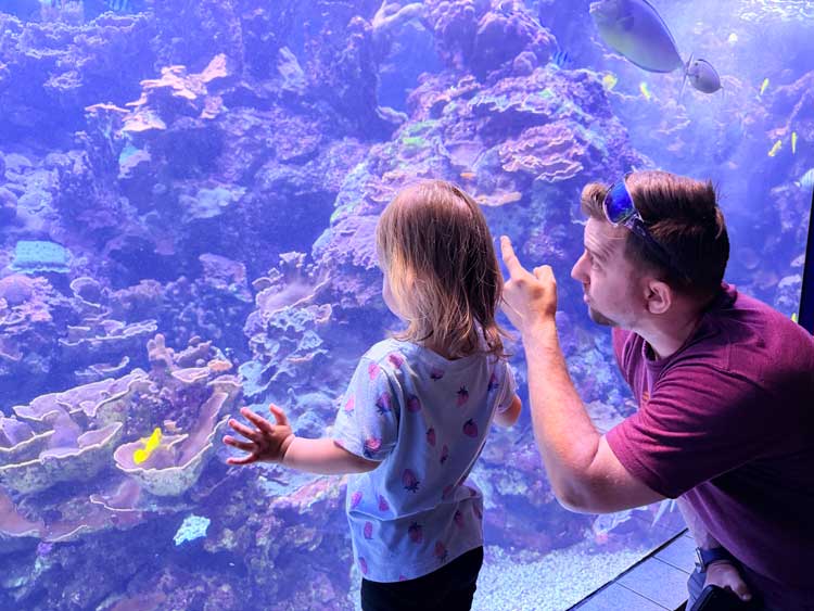 There's so much to see at Maui Ocean Center. Photo by Janna Graber