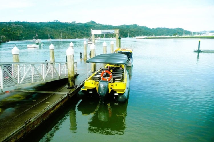 The Ocean Leopard, our tour boat in Whitianga, New Zealand. Photo by Judy Barford