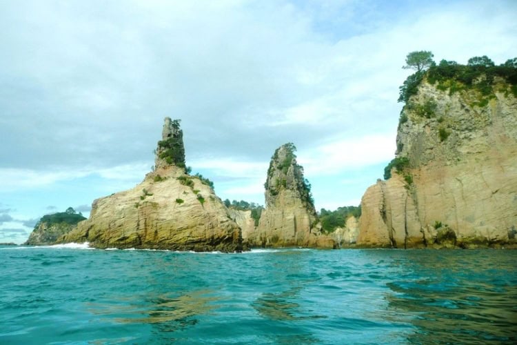The rugged Coromandel coastline. Photo by Barry Barford