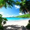 Exploring the beauty and serenity of the Seychelles. Image by IakovKalinin from Getty Images Pro via Canva