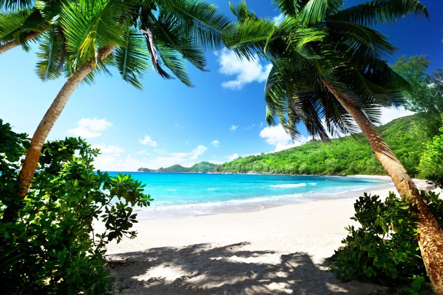 Exploring the beauty and serenity of the Seychelles. Image by IakovKalinin from Getty Images Pro via Canva