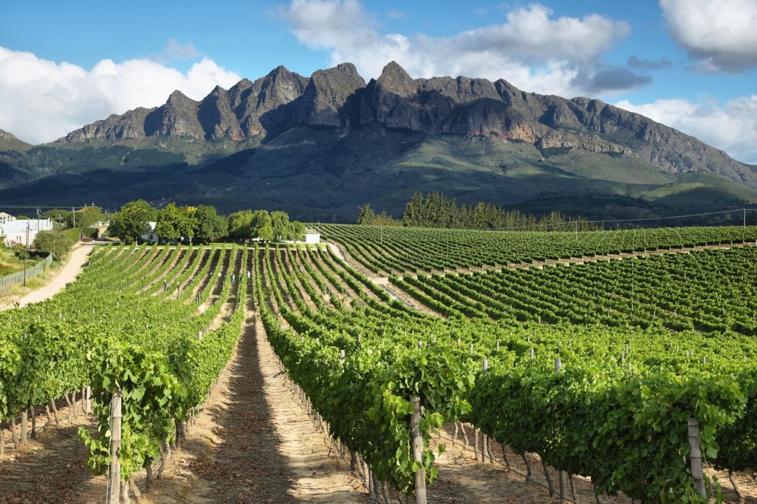 South Africa Vineyards dot the stunning landscape around Wellington. Image by estivillml from Getty Images via Canva
