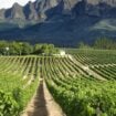 South Africa Wellington South Africa Wine Country. Pinterest