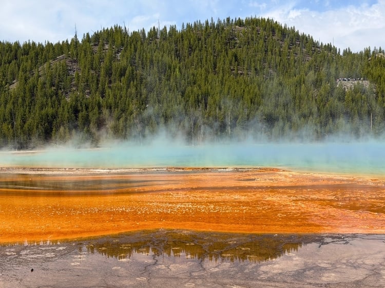 Steam rises off Grand Prismatic Spring, the largest hot spring in the country, its colors created by heat-loving bacteria. Photo by Isabella Miller