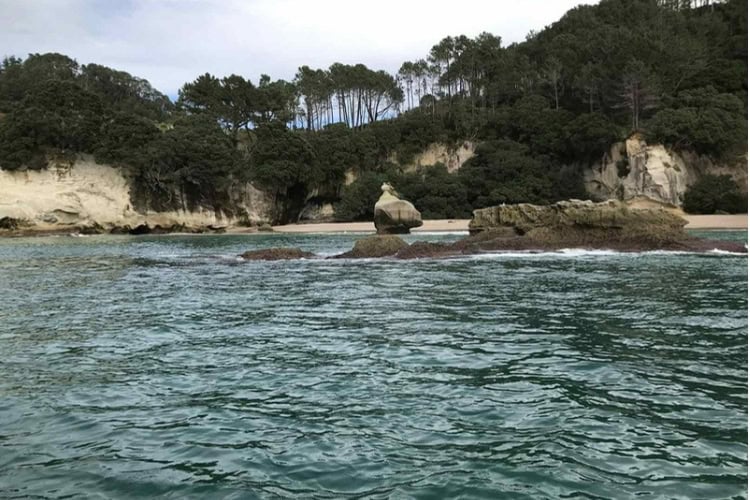 Te Hoho Rock sits in front of Cathedral Cove. Photo by Judy Barford
