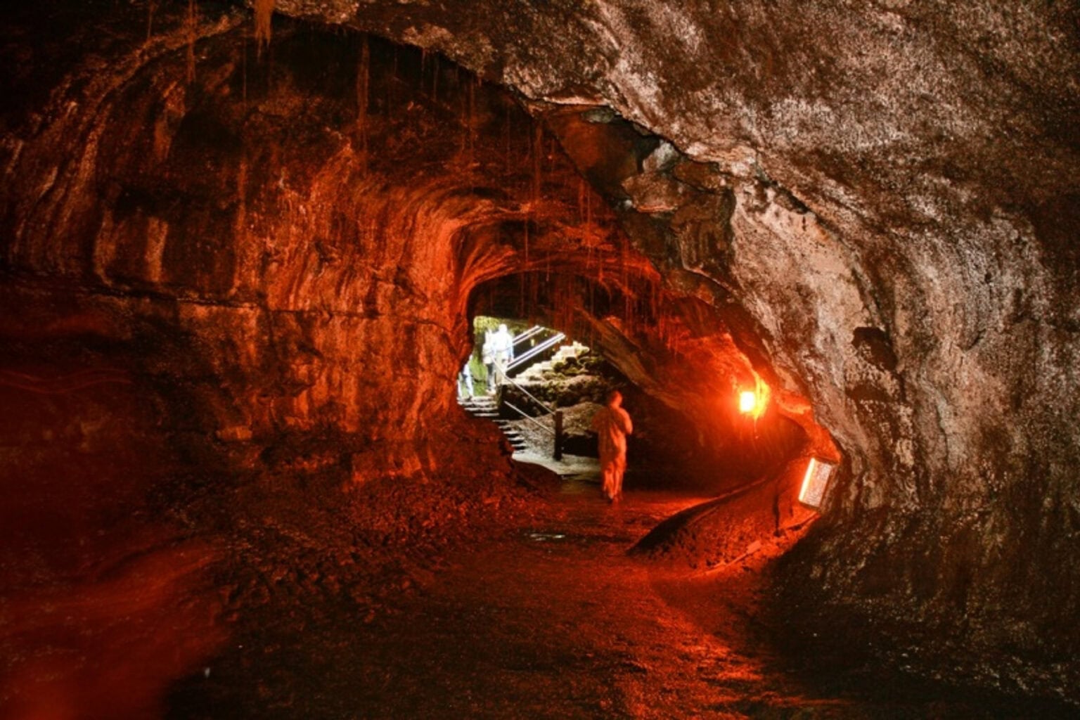 Nāhuku, the lava tube long known as Thurston Lava Tube, in Hawaiʻi Volcanoes National Park. Photo by Brent Cassie