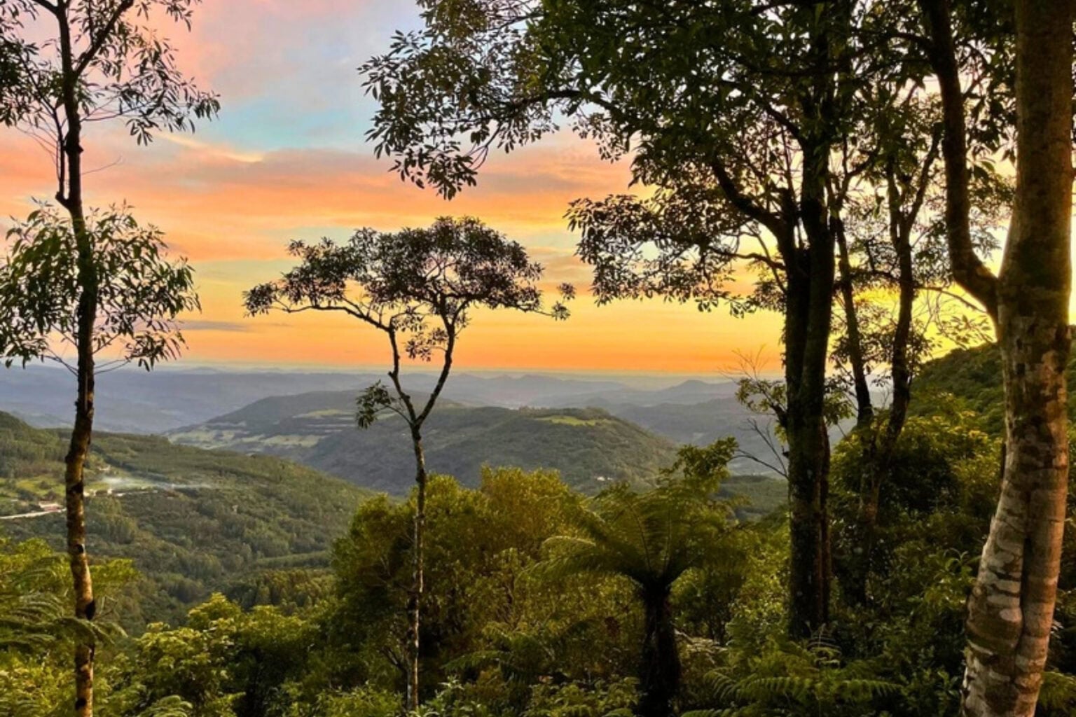 Valleys and hills of the Serra Gaúcha. Photo by Ellen Carter
