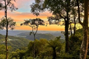 Valleys and hills of the Serra Gaúcha. Photo by Ellen Carter