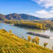 Wachau valley. Photo by extravagantni via iStock