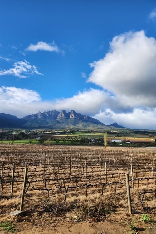 Winter views in Wellington, South Africa. Photo by Janine Avery