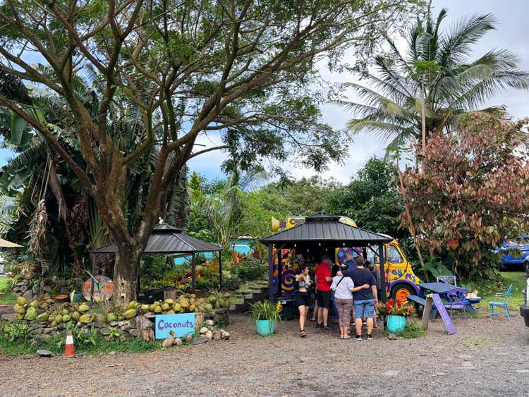 Stopping for coconut ice cream on the Road to Hana. Photo by Janna Graber