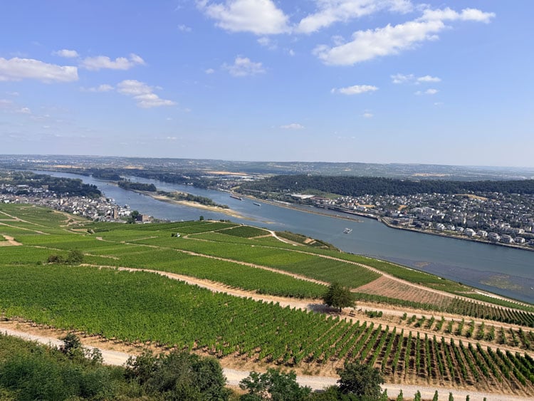 Vineyards and river as far as the eye can see. Photo by Janna Graber