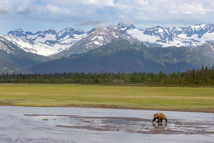 Natural Habitat Adventures Alaska Bear Camp