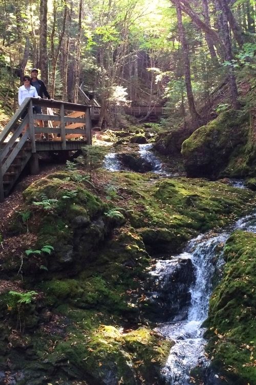 Dickson Falls, one of Fundy’s most accessible and popular hikes
