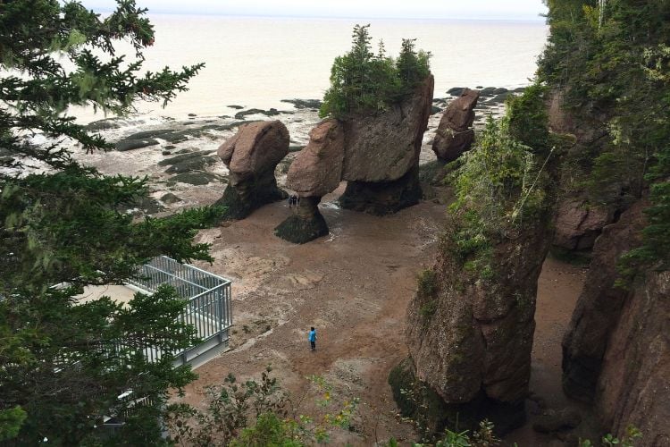  View of Hopewell Rocks from outlook