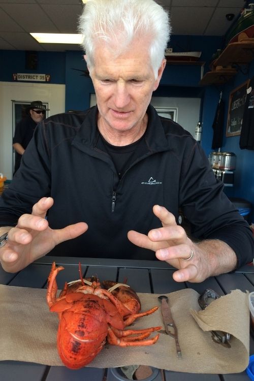 fresh lobster
