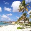 Bonaire Pinterest
