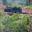The Durango & Silverton Narrow Gauge Railroad is the big tourist draw in Durango. Photo by Tab Hauser Pinterest
