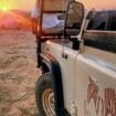 Family Safari Pinterest