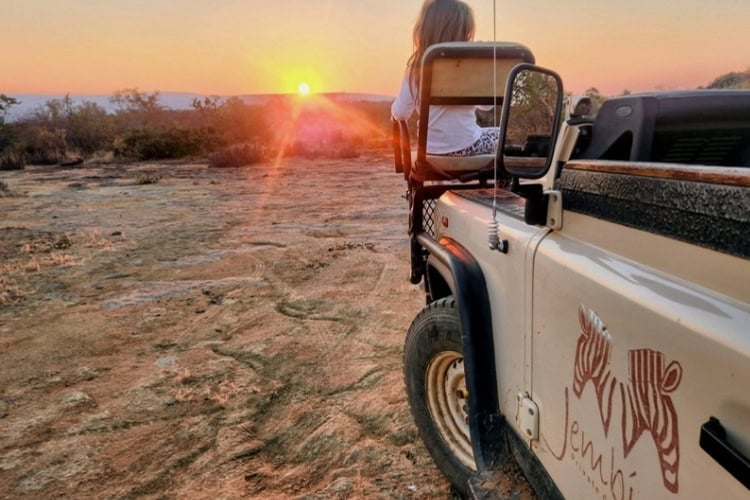 A family safari in South Africa's Waterberg. Photo by Janine Avery