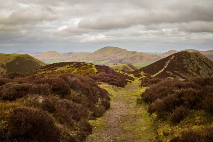 A footpath through the Shropshire Hills near Clun, England. Photo by Ffion Scott, Pexels