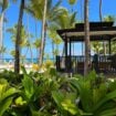 Gazebo by a tropical beach in Punta Cana. Photo by Artem Ganzha, Pexels