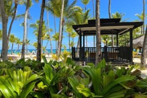 Gazebo by a tropical beach in Punta Cana. Photo by Artem Ganzha, Pexels