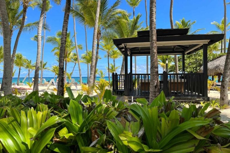 Gazebo by a tropical beach in Punta Cana. Photo by Artem Ganzha, Pexels