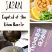 Kake udon, one of the most iconic styles of Sanuki udon. Photo courtesy of Kagawa Prefecture Tourism Association Pinterest