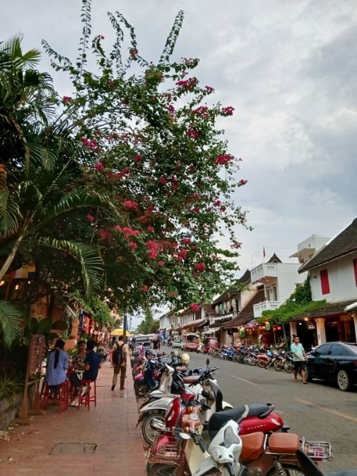 Luang Prabang’s Old Town glows in the soft evening light at dusk, Laos. Photo by Shivika Singh