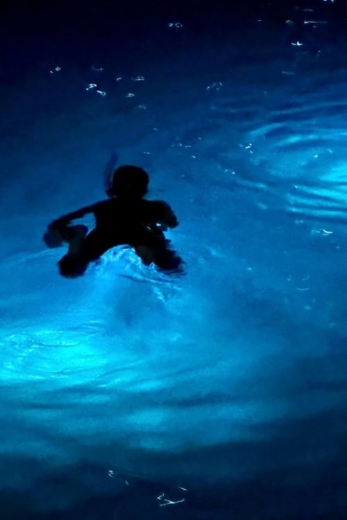 Snorkeling at night. Photo by Susan Greenberg
