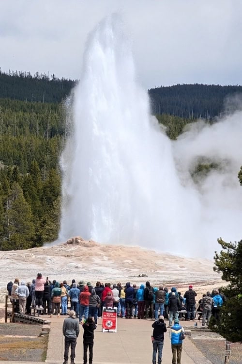 Old Faithful Geyser with visitors capturing the moment on their cell phones. Photo by Kathy Hosek