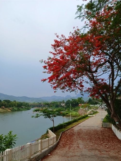 A riverside path along the Nam Khan River in Luang Prabang, Laos. Photo by Shivika Singh
