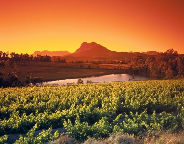 Sunrise above the Cape Winelands. Photo by RobinWonderboy via iStock