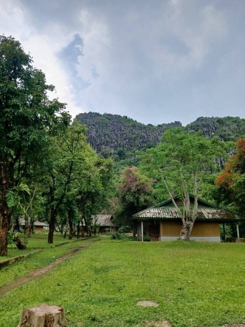 Lush green fields and trees stretch toward the dramatic karst mountains of Vang Vieng, Laos. Photo by Shivika Singh