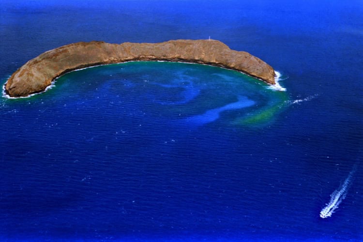 View of Molokini Crater from above. Photo by kcollie from Getty Images via Canva