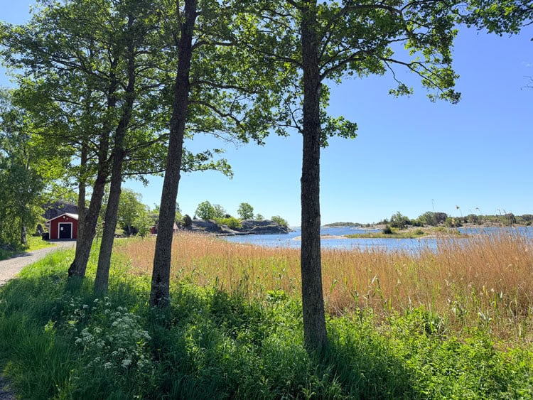 Quiet morning hike in Sweden