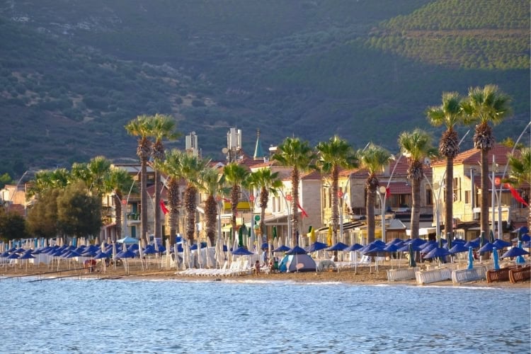 Sunny beachfront view in FoCa, Izmir with palm trees and umbrellas. Photo by Dogan Alpaslan Demir, Pexels