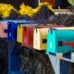 Colorful mailboxes next to a bush. Photo by Philippe Murray-Pietsch, Unsplash