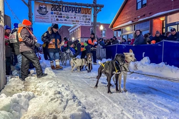 Starting gate for the CopperDog Race. Photo by Julie Suman