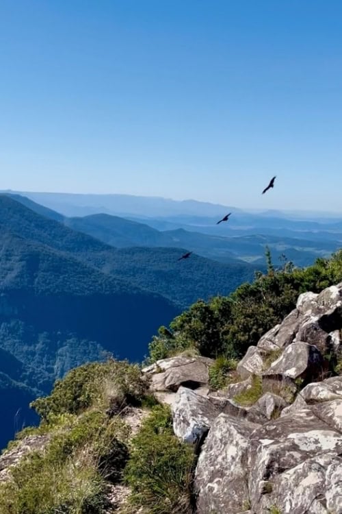 The view from Trilha Fortaleza with three black vultures circling above. Photo by Ellen Carter